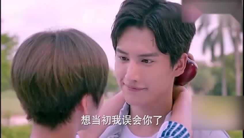 奔跑的兔子